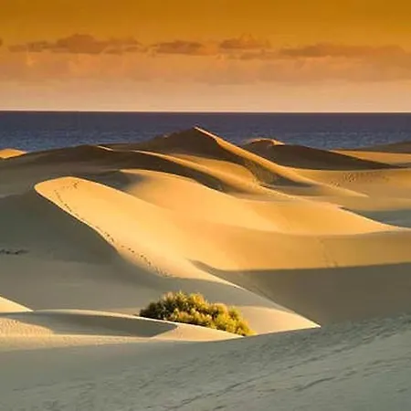 Mini Estudio Cerca De La Playa Daire