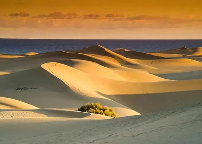 Mini Estudio Cerca De La Playa شقة